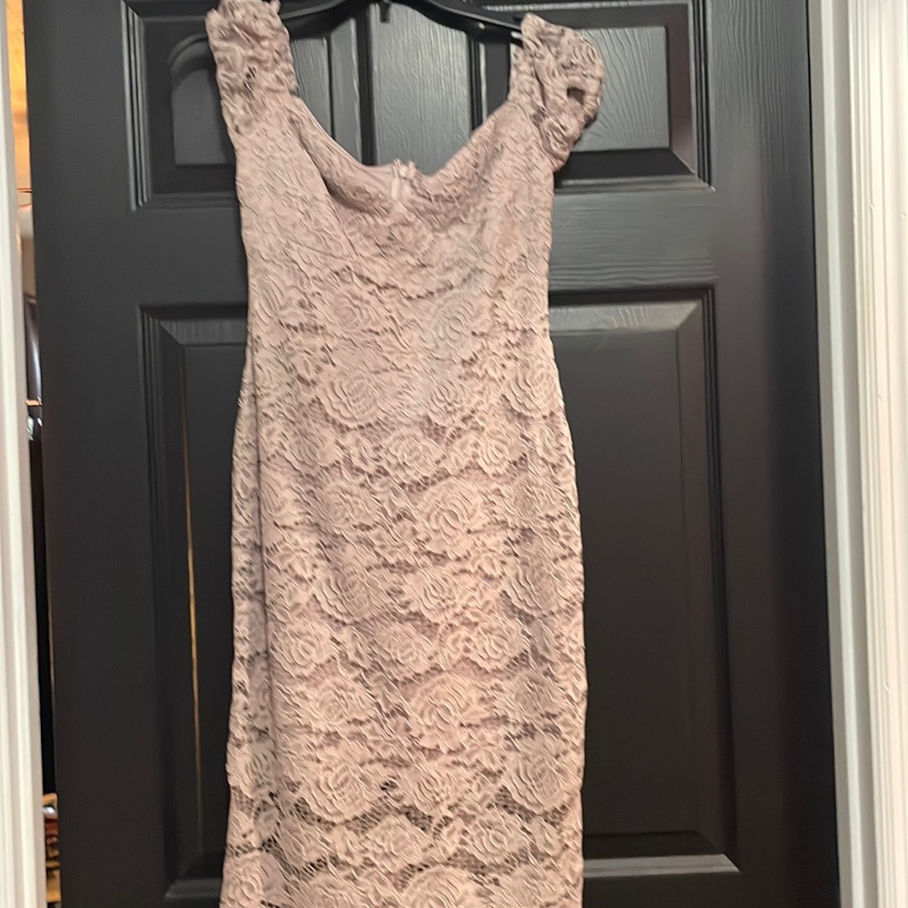 Express pink lace dress